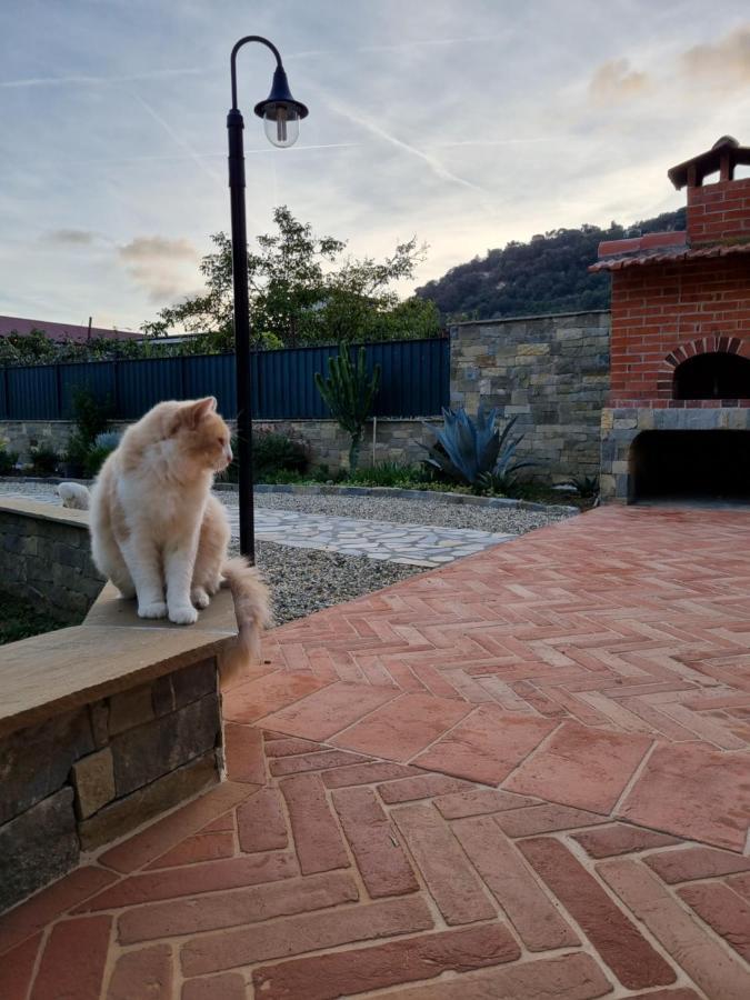 Dimora Pepatio Appartamento Camporosso  Esterno foto
