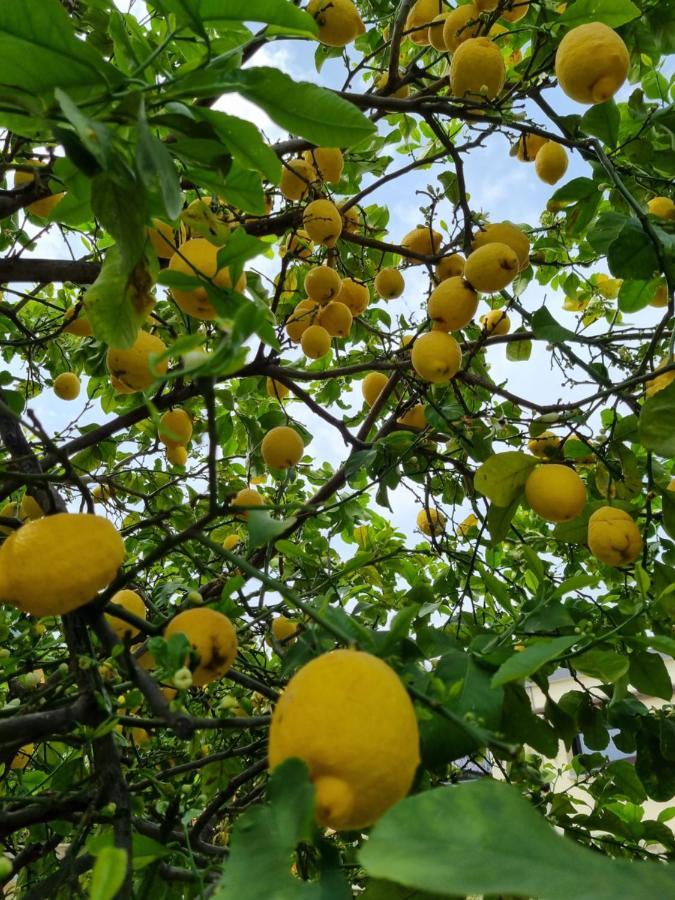 Dimora Pepatio Appartamento Camporosso  Esterno foto